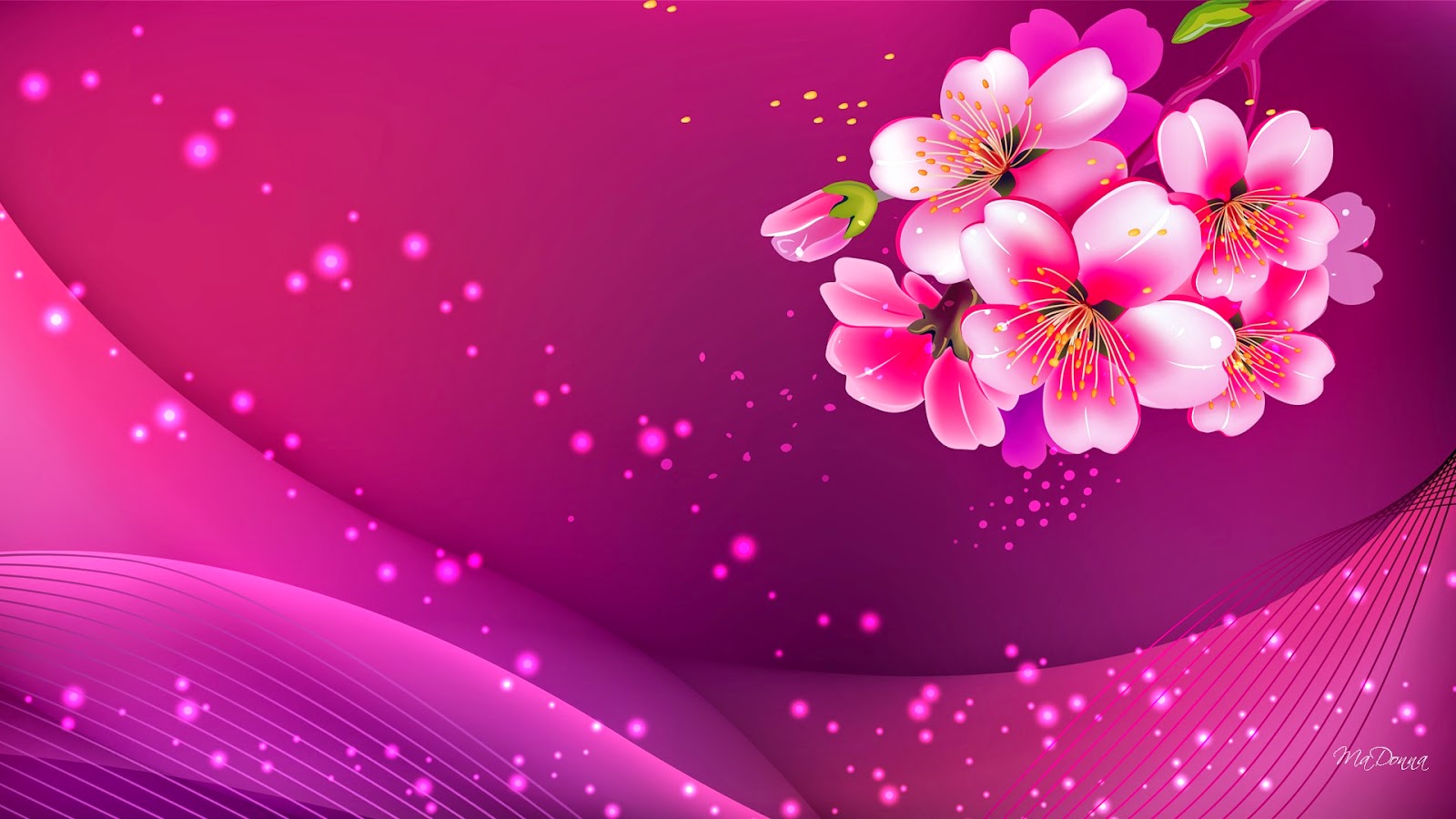 wallpaper for girls,pink,petal,flower,purple,blossom