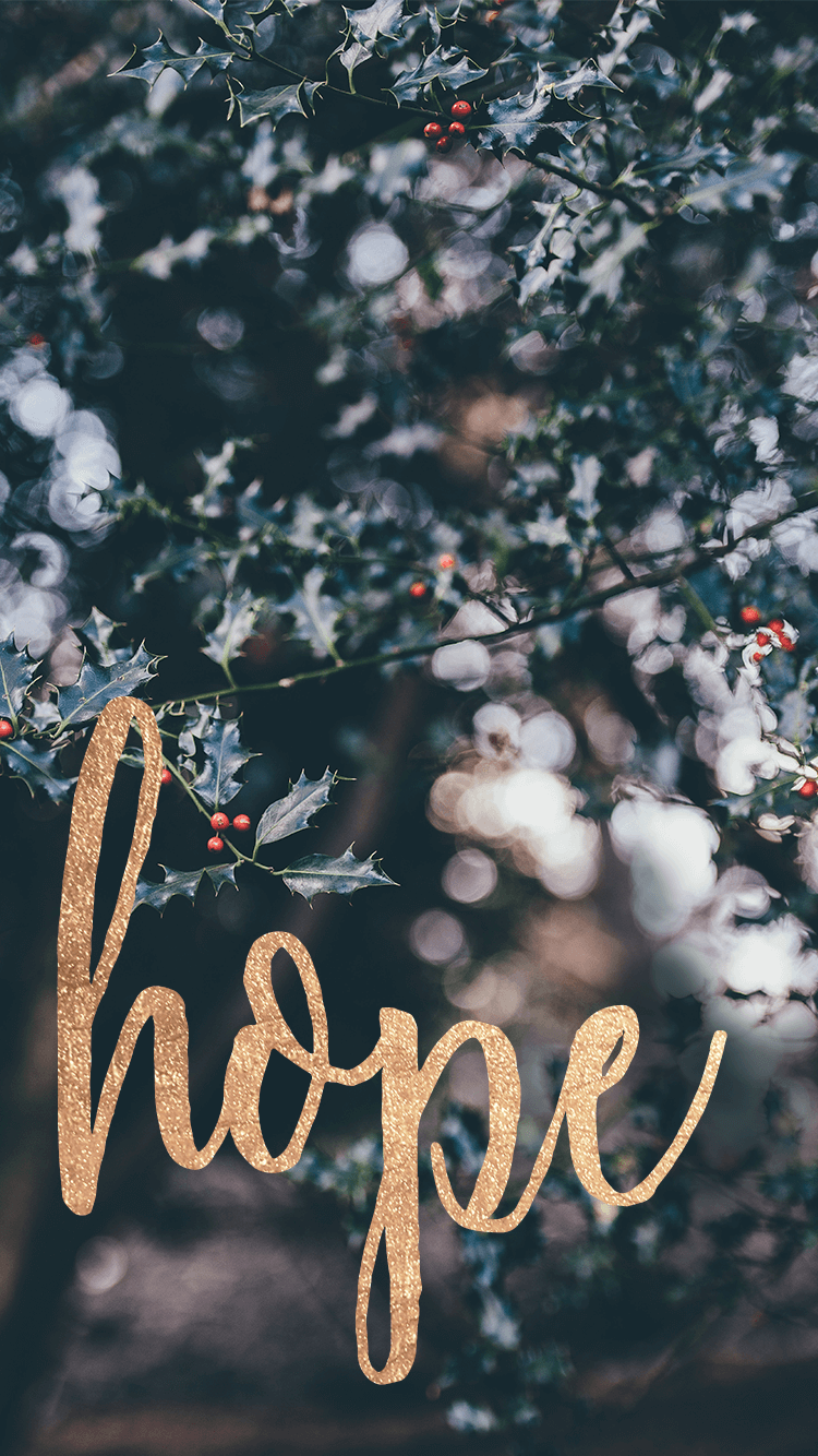 wallpaper for phone,text,font,tree,branch,plant