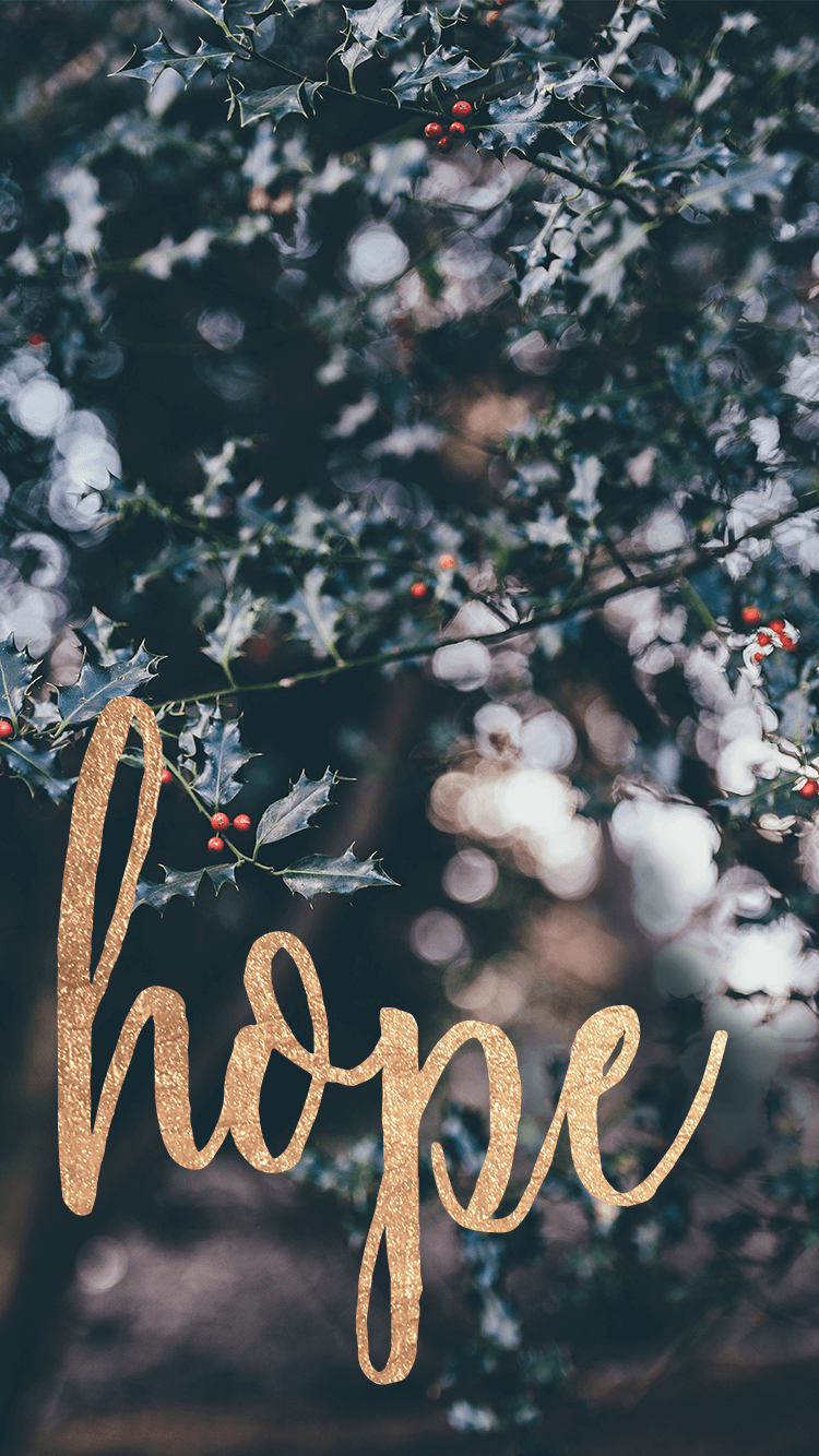 hintergrundbild für telefon,text,schriftart,baum,pflanze,t shirt