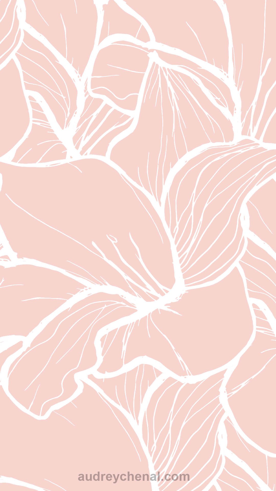 free wallpaper,pink,leaf,pattern,line,design
