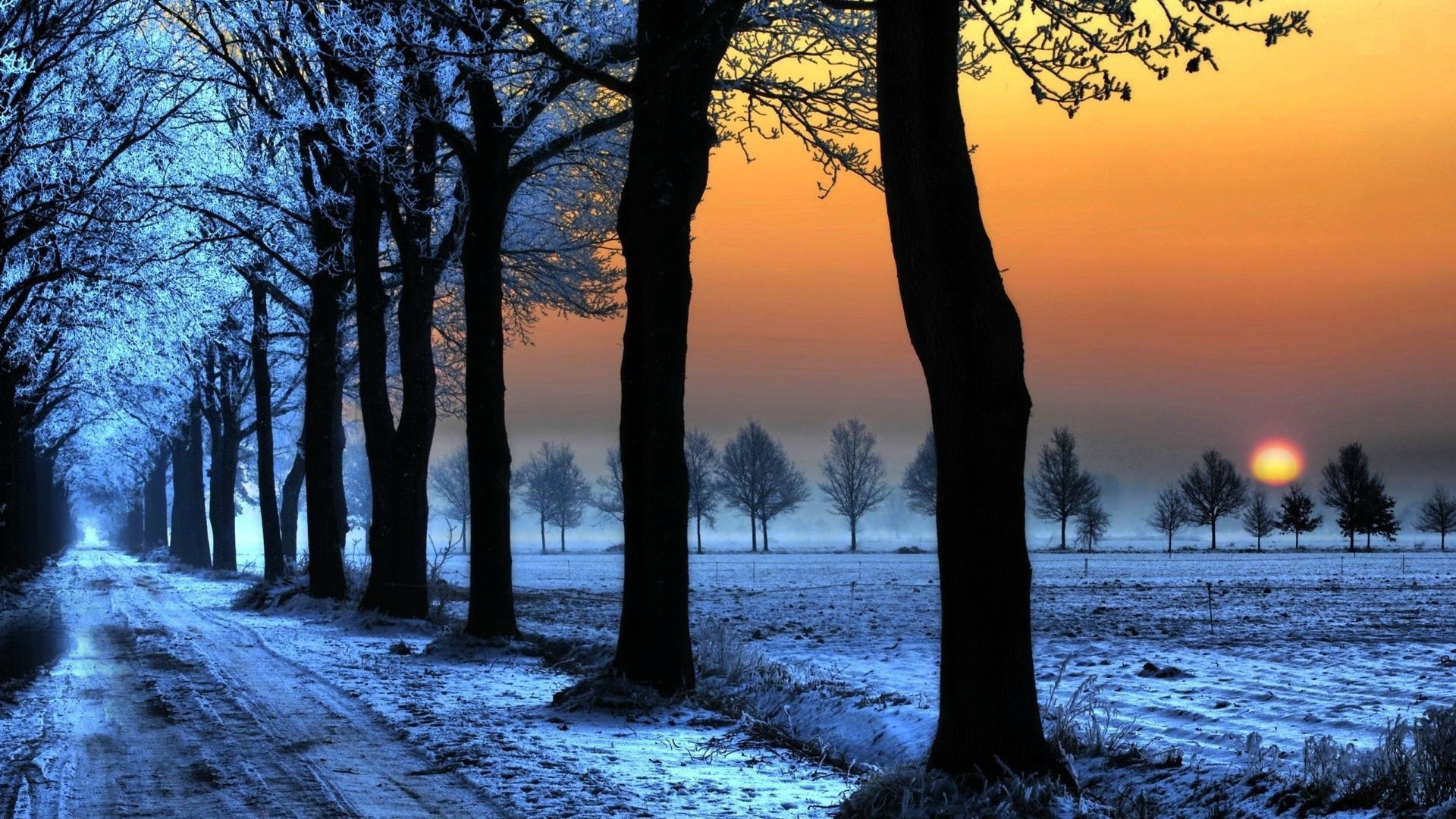 nuevo fondo de pantalla,paisaje natural,árbol,cielo,naturaleza,invierno