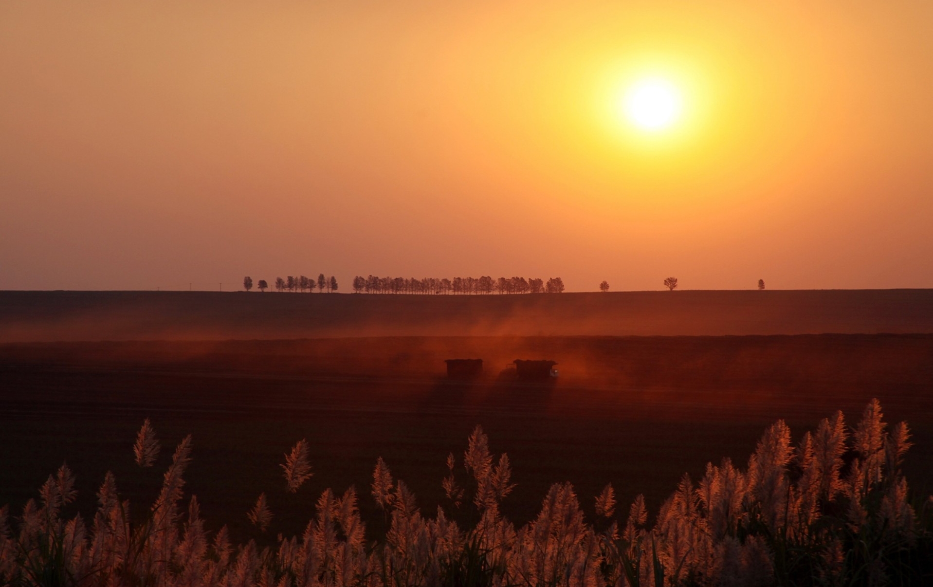 natur tapete,himmel,sonnenaufgang,horizont,sonne,natur