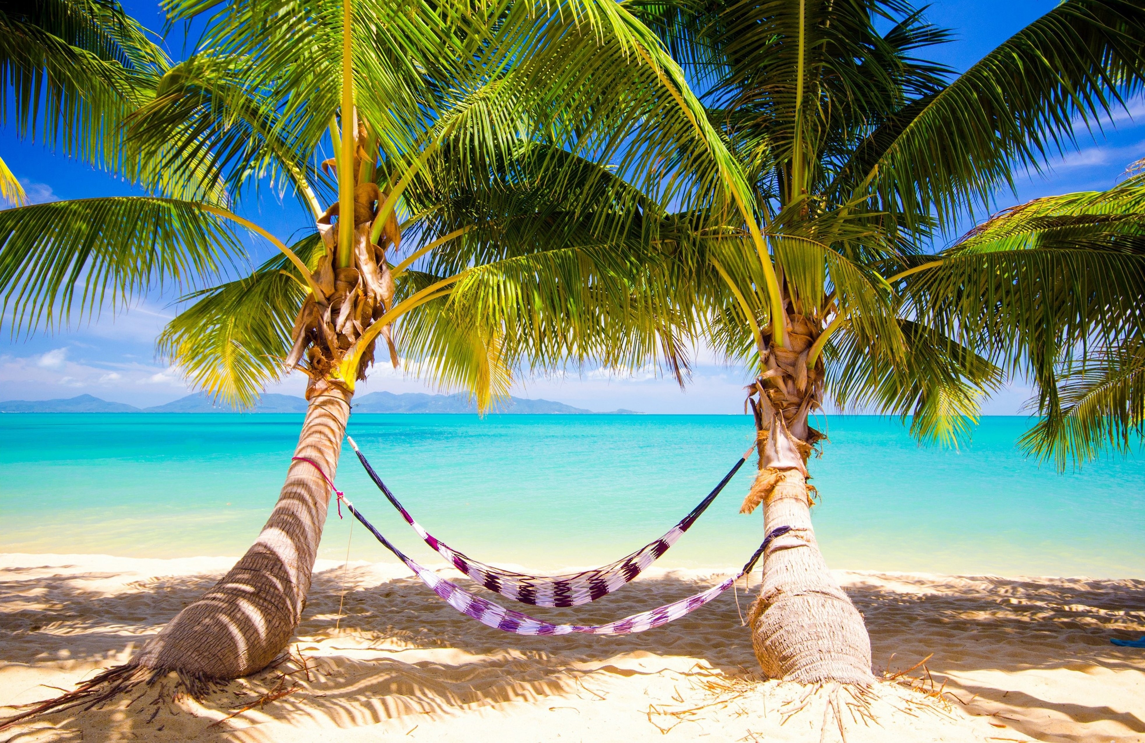 nature wallpaper,hammock,tree,nature,tropics,palm tree