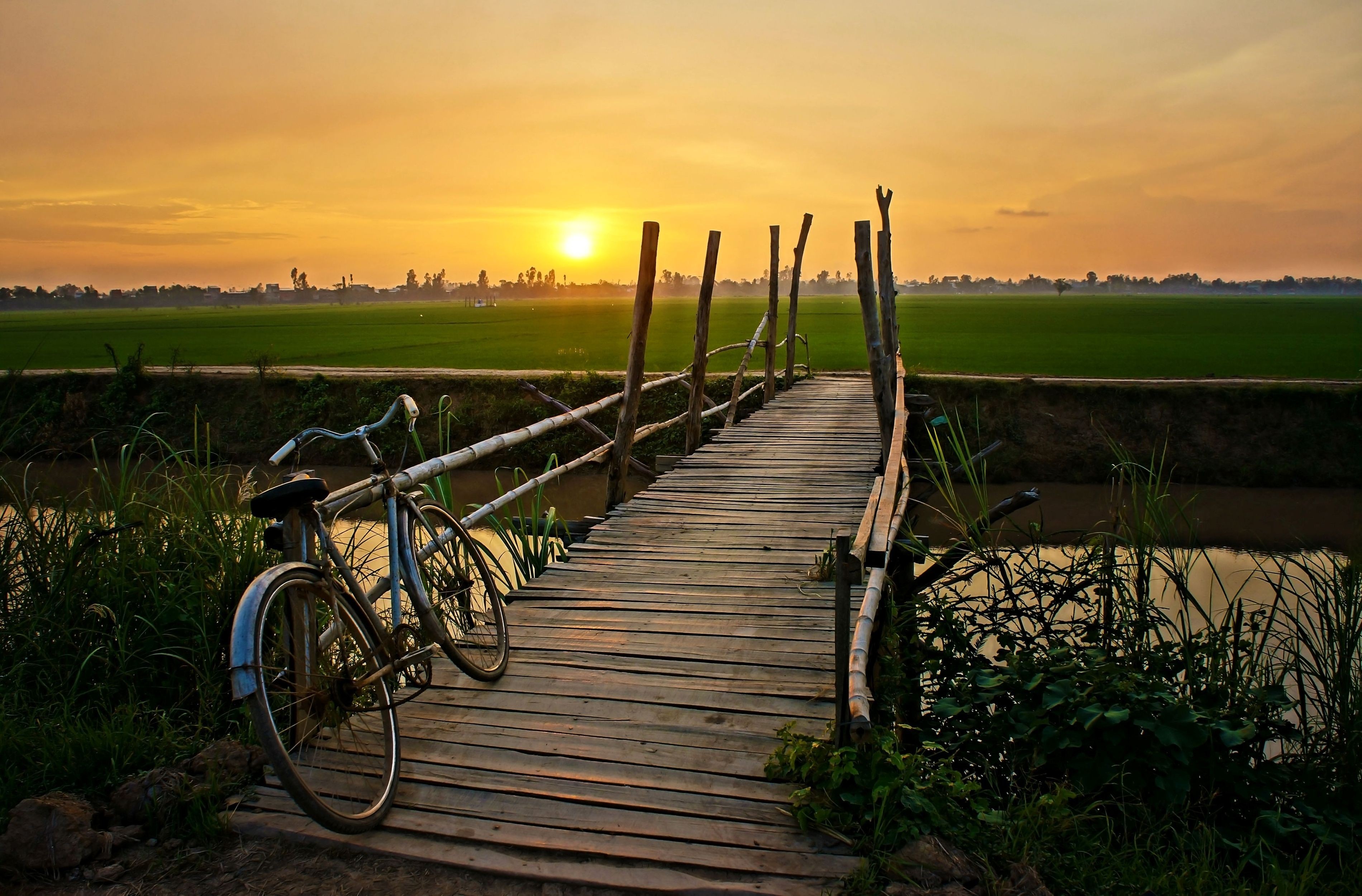 carta da parati natura,paesaggio naturale,natura,cielo,tramonto,bicicletta