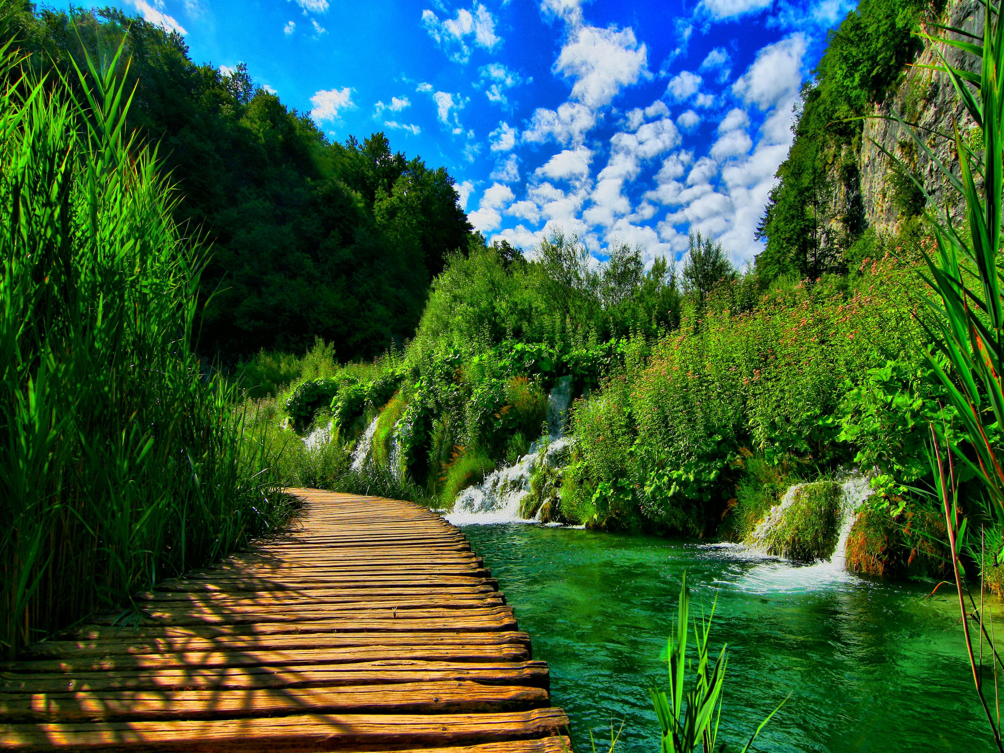 papel pintado de la naturaleza,paisaje natural,naturaleza,recursos hídricos,agua,verde