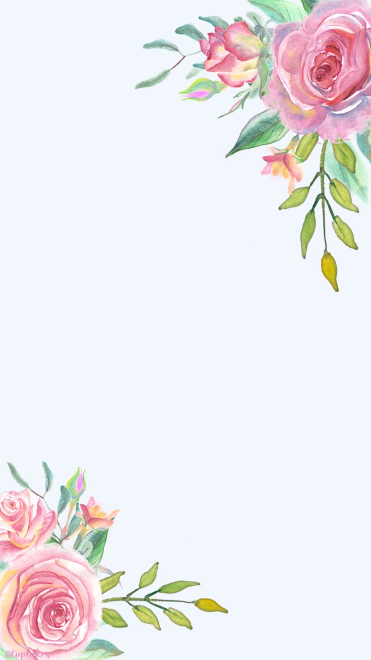 wallpaper for girls,pink,flower,rose,garden roses,cut flowers