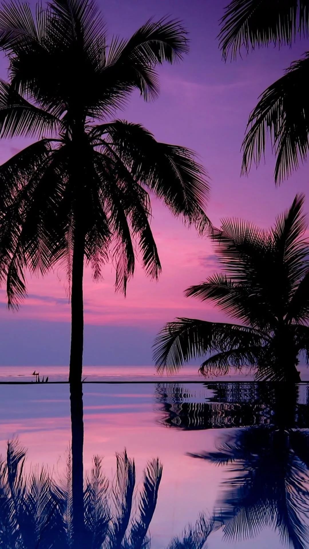 fondo de pantalla tumblr,naturaleza,árbol,cielo,palmera,púrpura