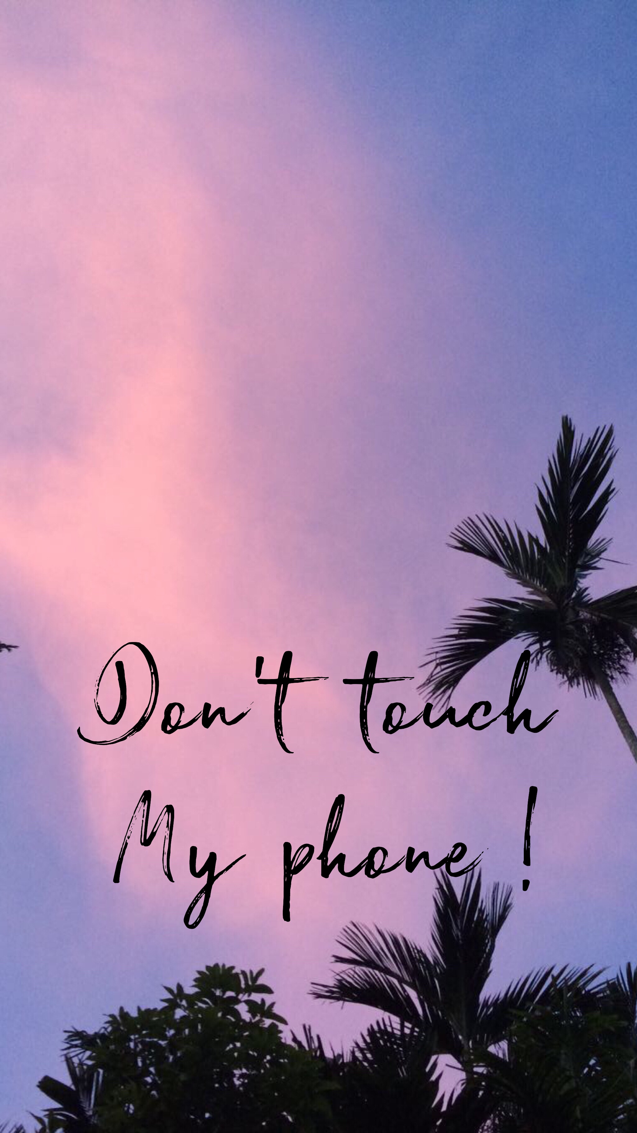 tumblr wallpaper,sky,tree,palm tree,font,morning