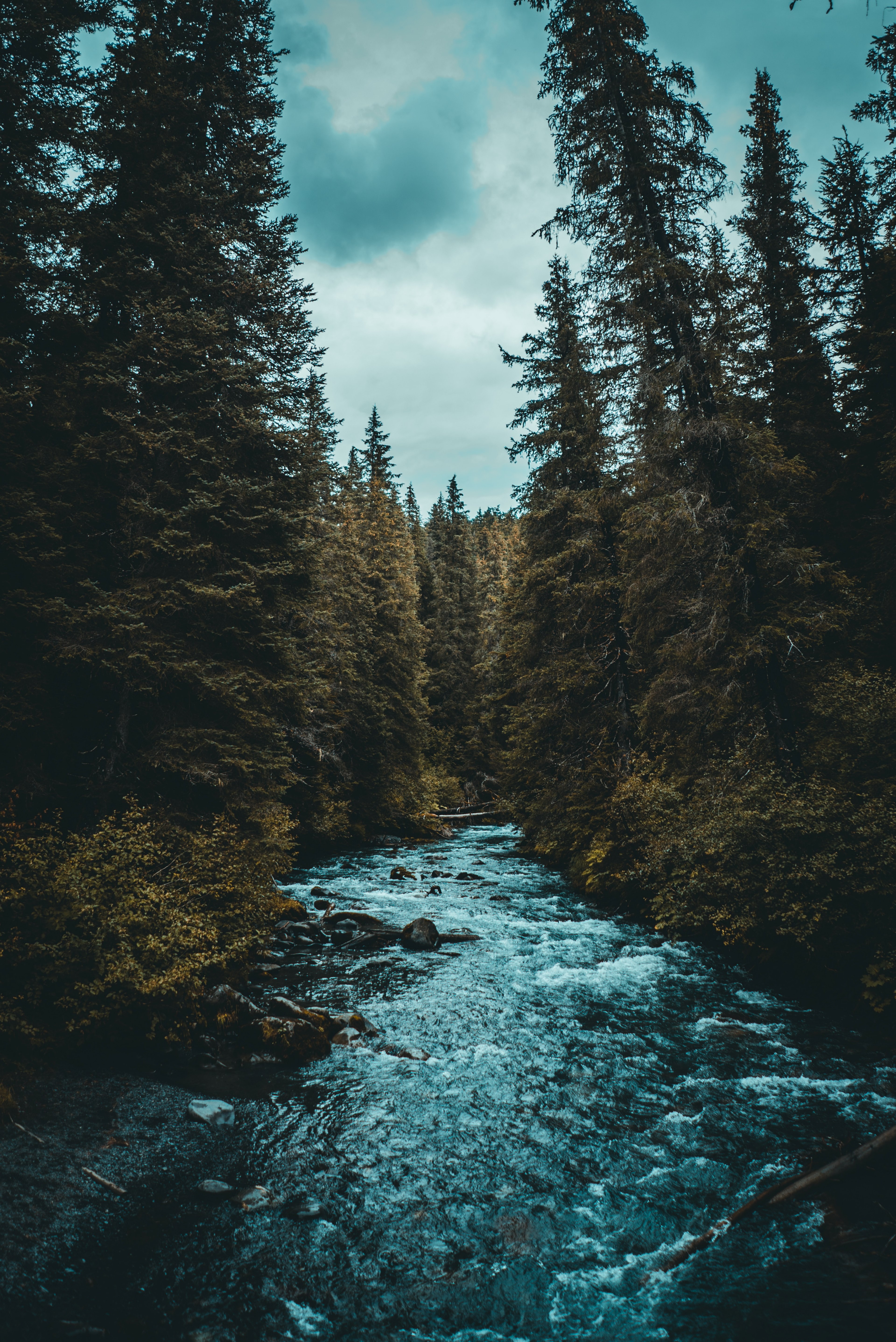 meilleurs fonds d'écran,la nature,paysage naturel,l'eau,arbre,rivière