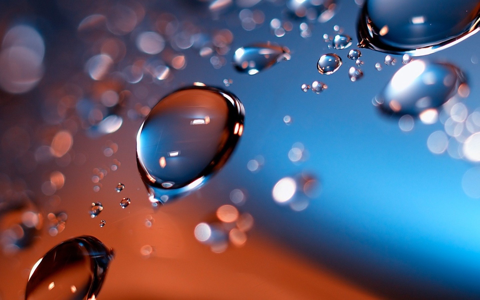 migliori sfondi,acqua,blu,far cadere,macrofotografia,rugiada