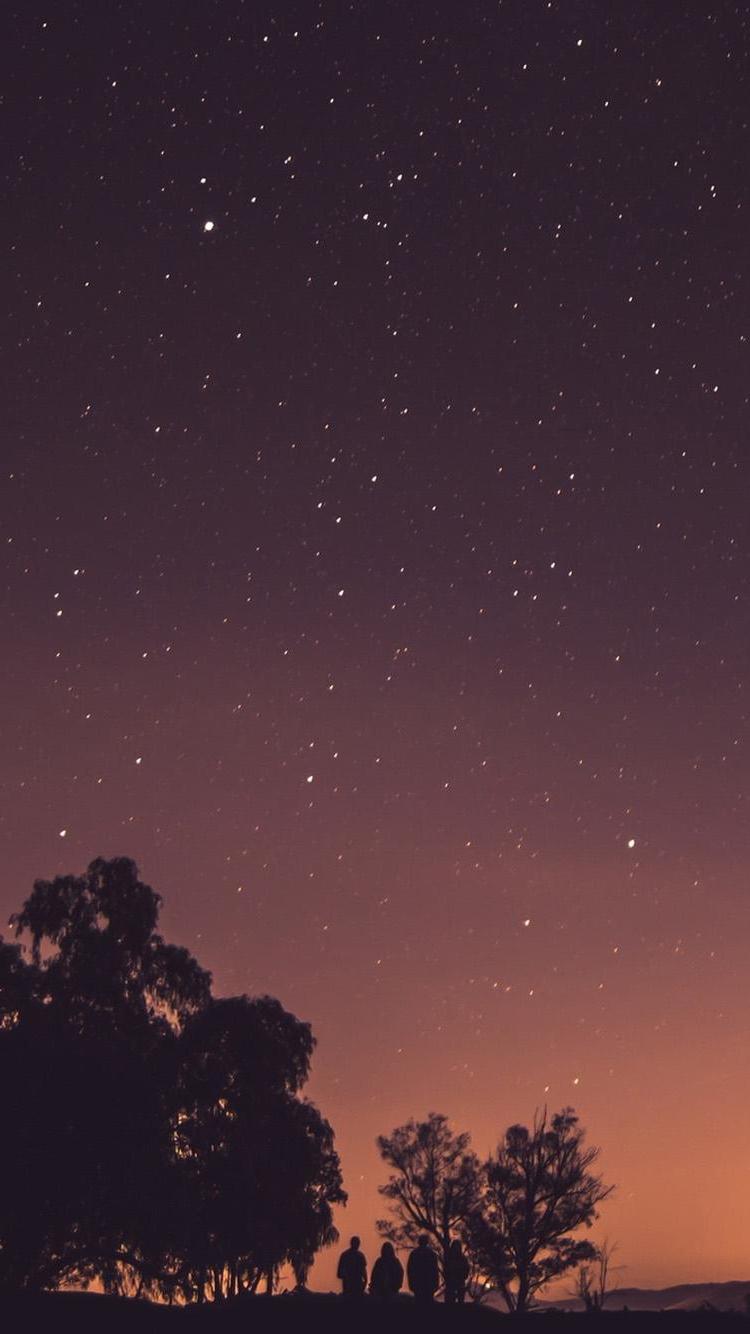 最高の壁紙,空,夜,雰囲気,木,紫の