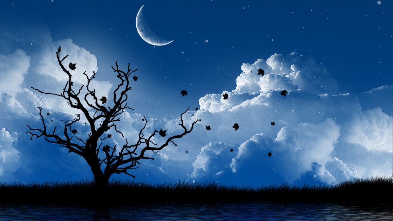 sfondi gratis,cielo,natura,luna,paesaggio naturale,chiaro di luna