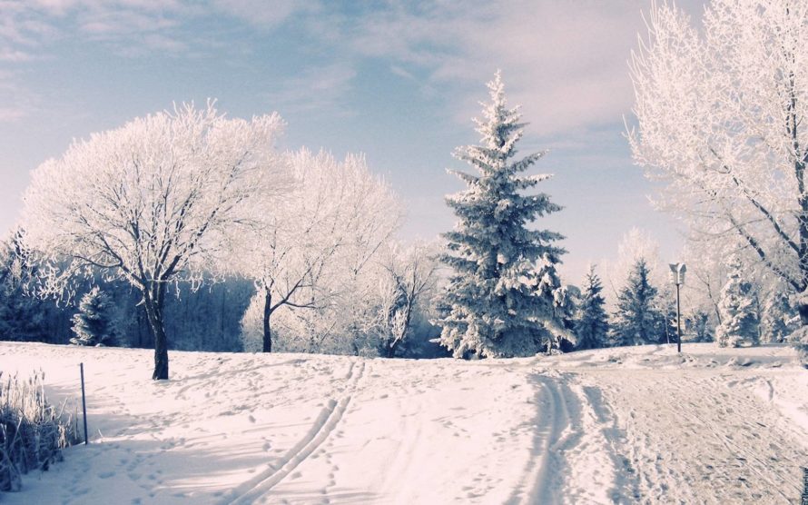 sfondo del desktop,neve,inverno,cielo,albero,natura