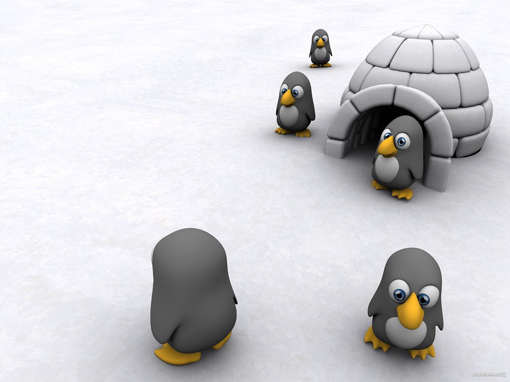 fondos de pantalla gratis,ave no voladora,pingüino,pingüino real,pájaro,pingüino emperador