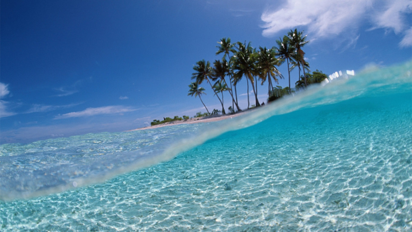 fondo de escritorio,mar,oceano,caribe,cielo,palmera