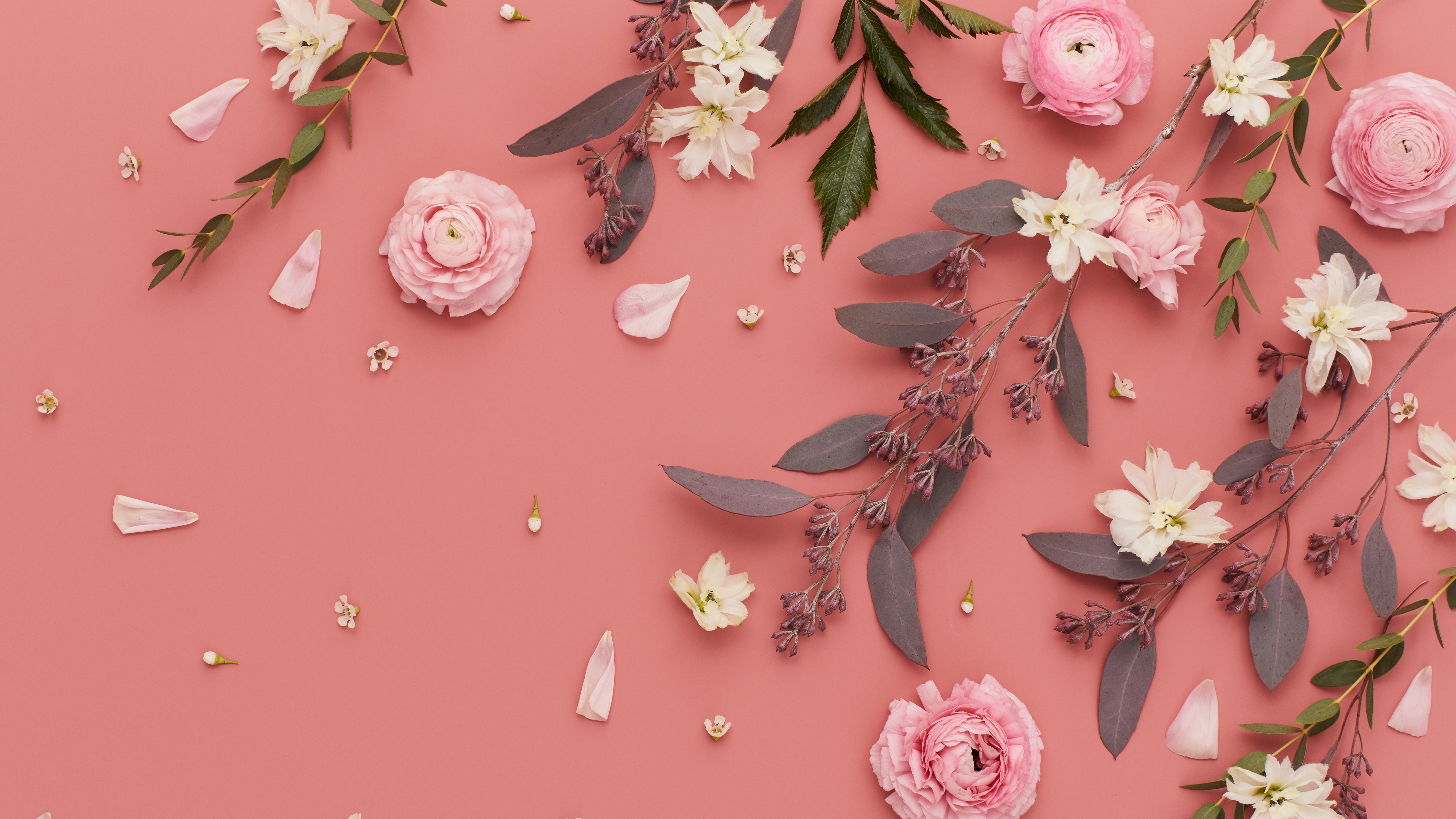 beautiful wallpapers,pink,flower,plant,petal,wildflower