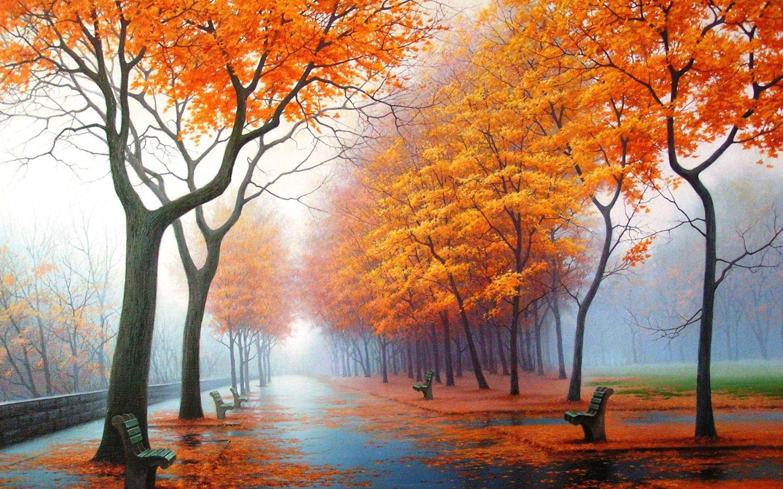 아름다운 배경 화면,나무,자연 경관,자연,하늘,가을