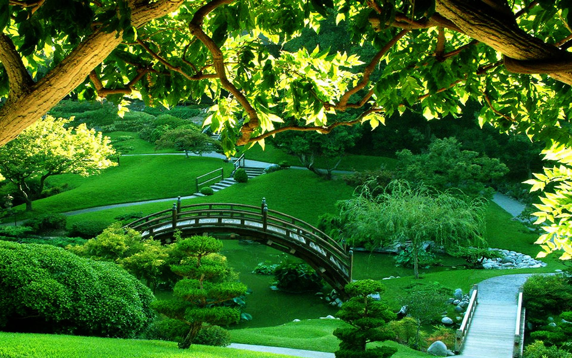 美しい壁紙,自然の風景,自然,緑,庭園,植物園