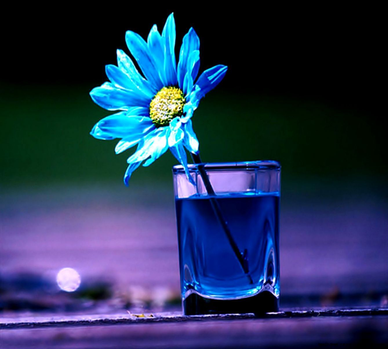 beautiful wallpapers,blue,cobalt blue,drink,still life photography,highball glass