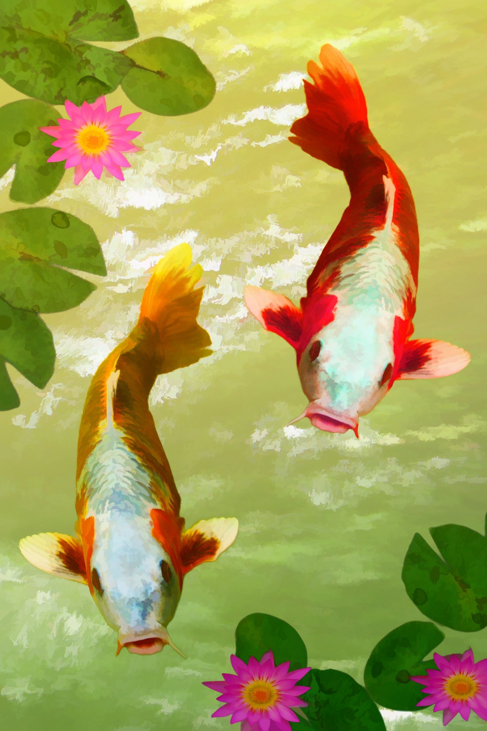 wallpaper for mobile,nature,fish,koi,fish pond,fish