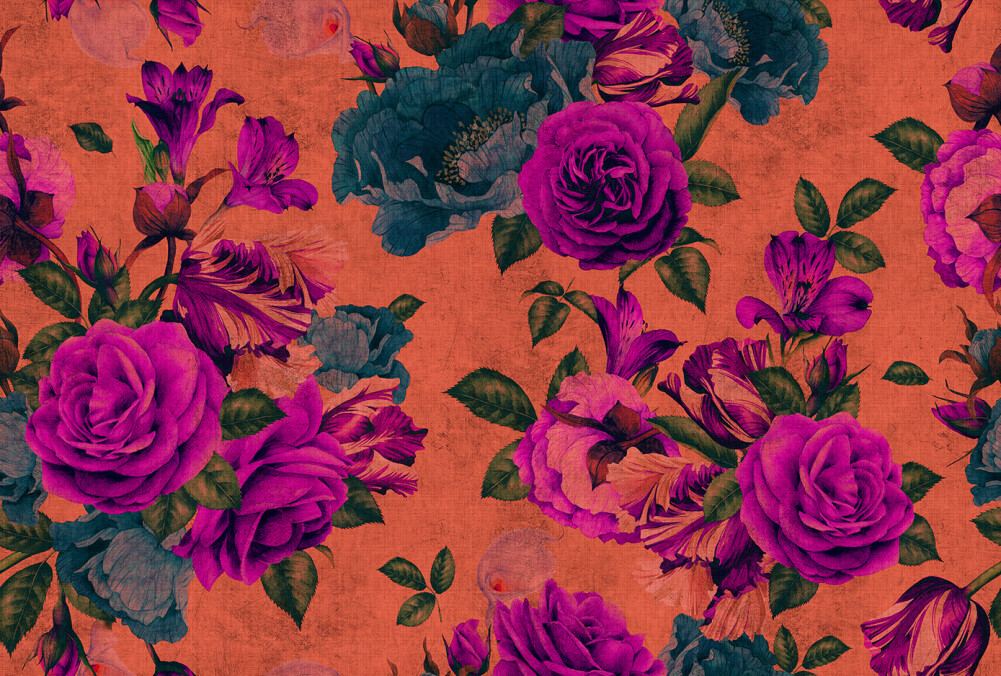 carta da parati rosa,fiore,rosa,viola,rosa,rose da giardino
