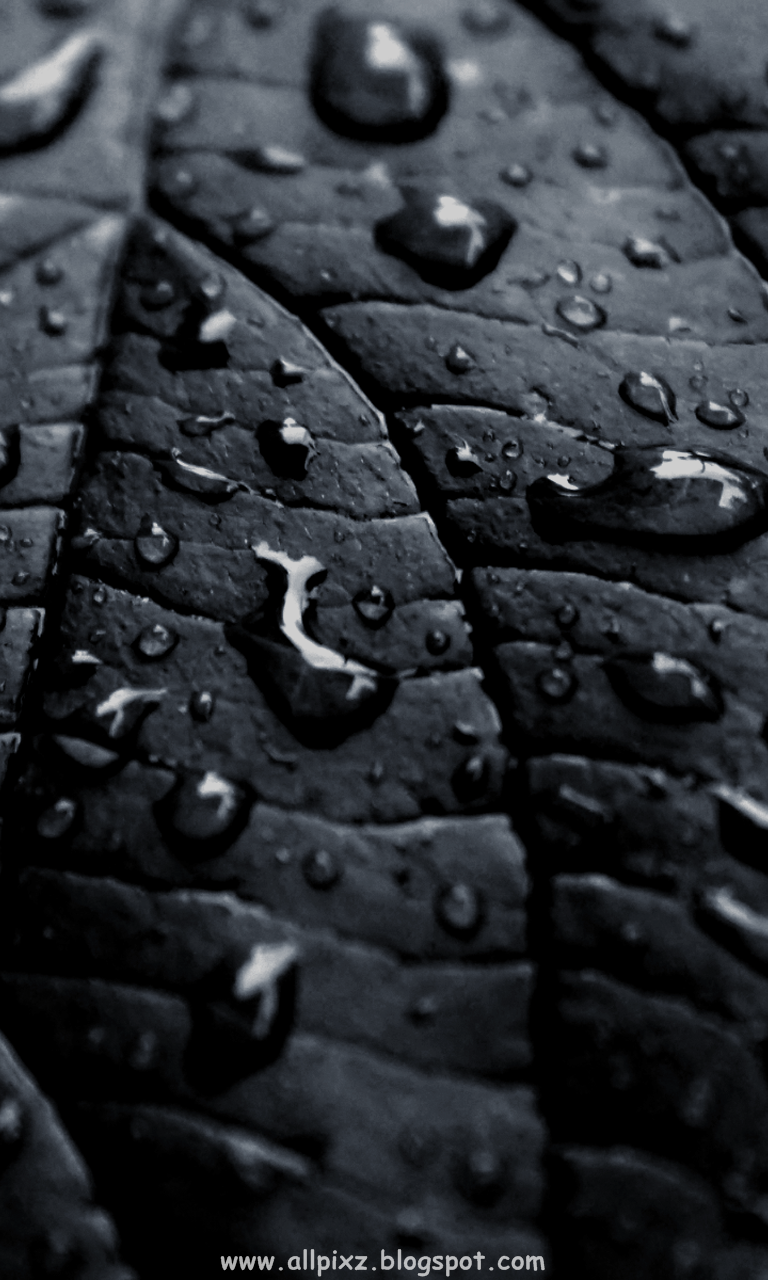 wallpaper for mobile,tire,automotive tire,water,black,leaf