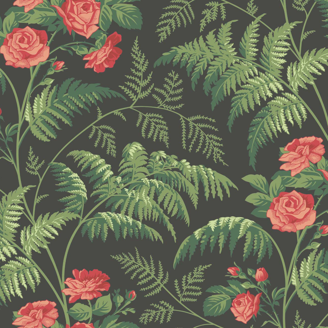 rose wallpaper,green,flower,plant,pattern,leaf