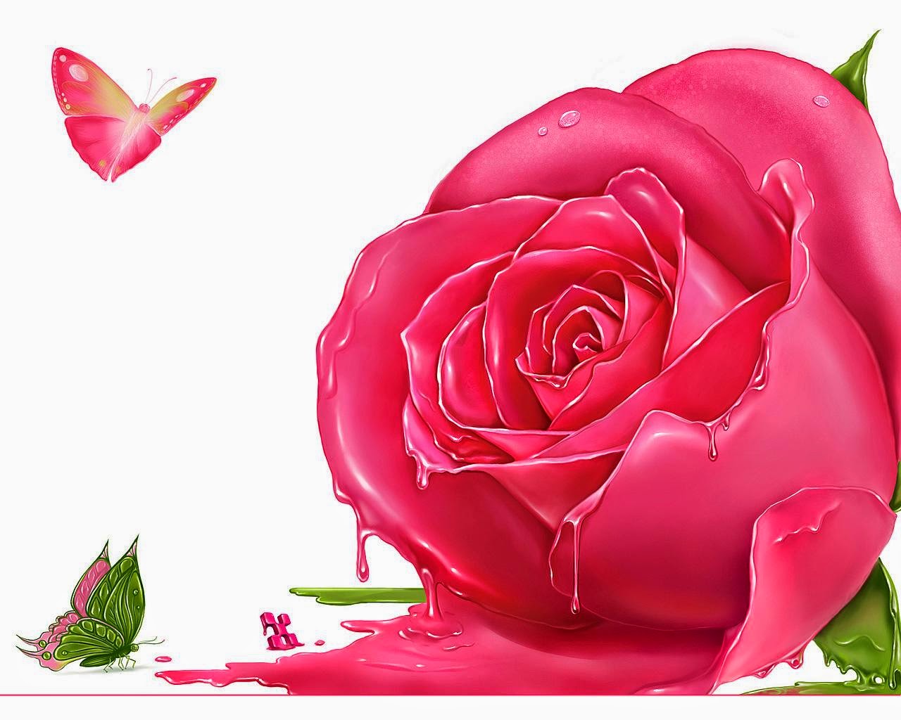장미 벽지,분홍,정원 장미,장미,꽃잎,꽃