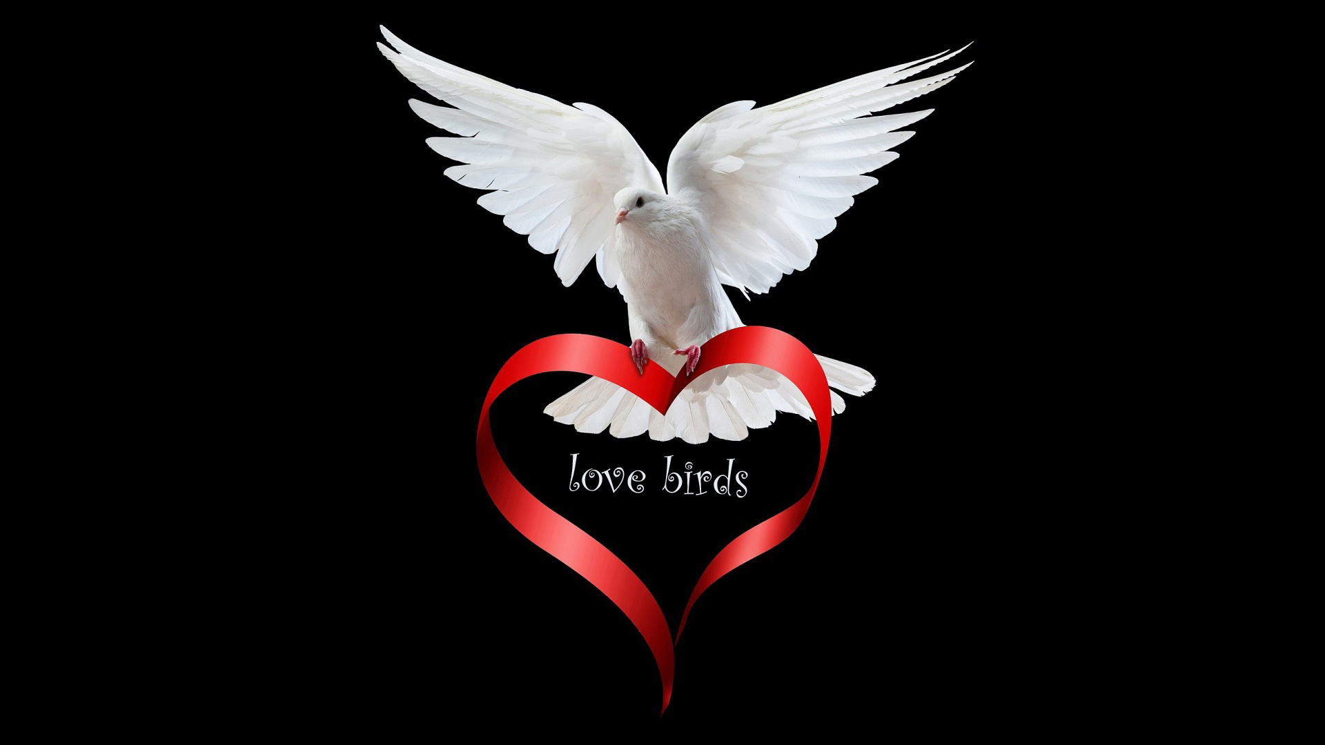 love wallpaper,wing,red,heart,love,organ