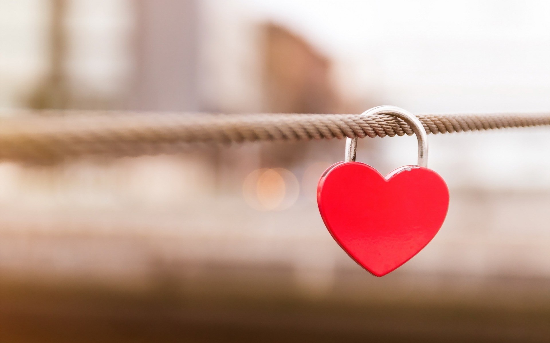 amor fondo de pantalla,corazón,amor,rojo,corazón,día de san valentín