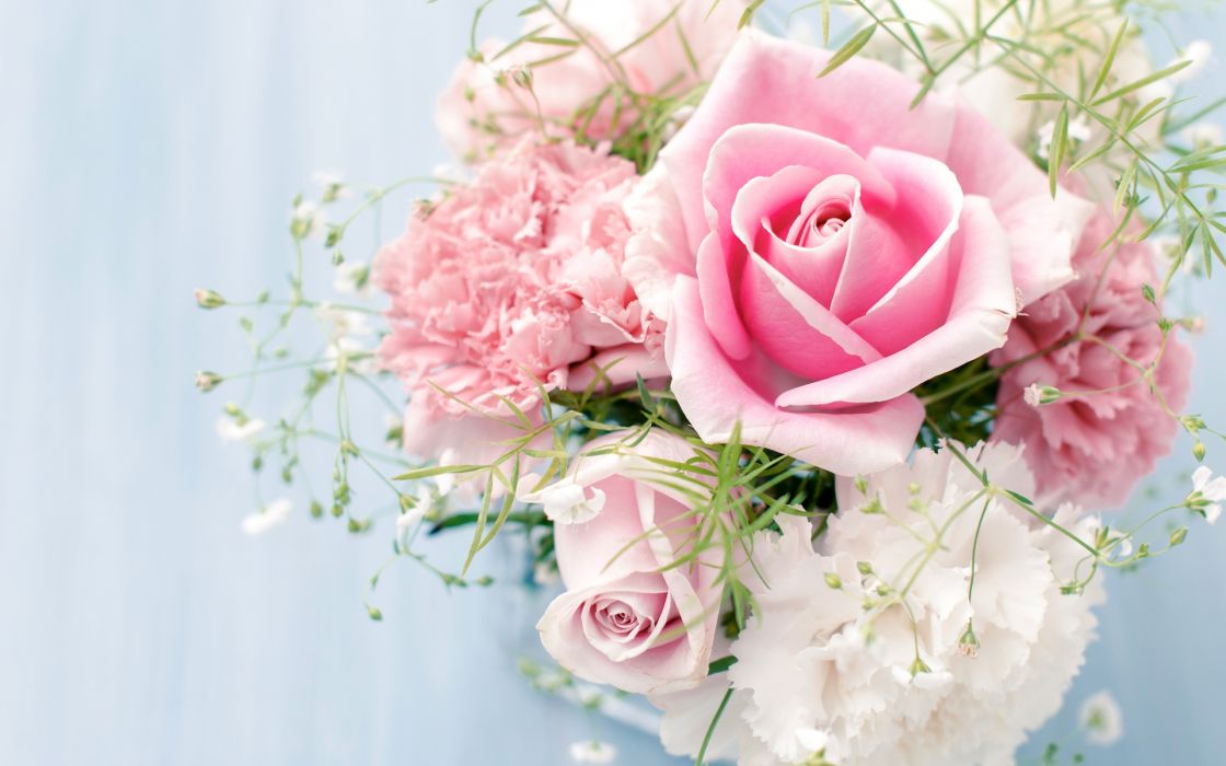papel tapiz rosa,flor,rosas de jardín,ramo de flores,rosado,rosa