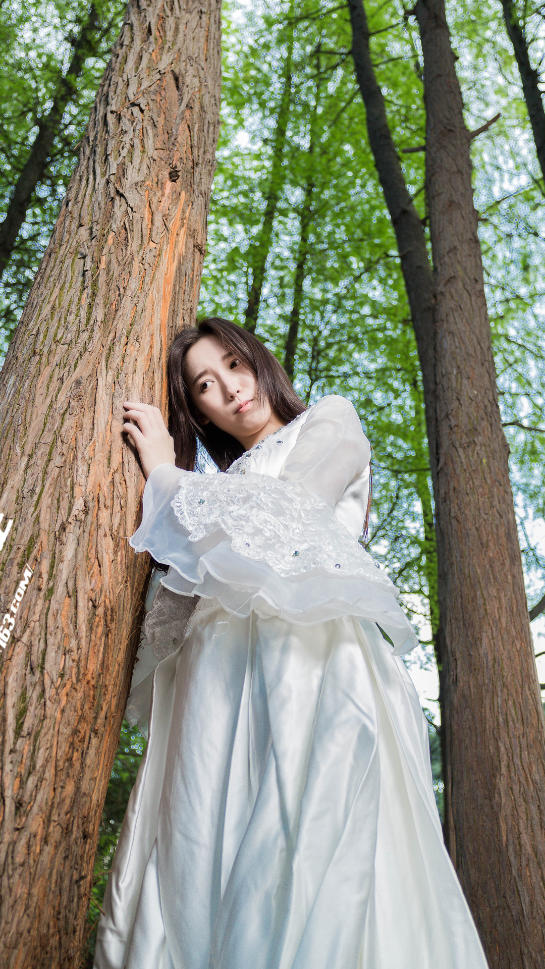 fond d'écran de filles,photographier,arbre,robe,beauté,robe de mariée