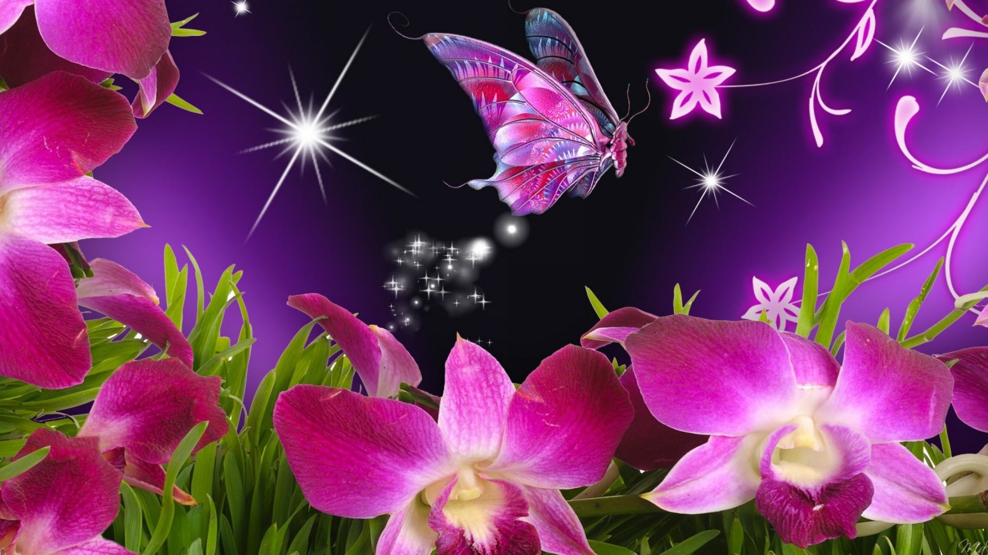 3d wallpaper,butterfly,pink,petal,flower,purple