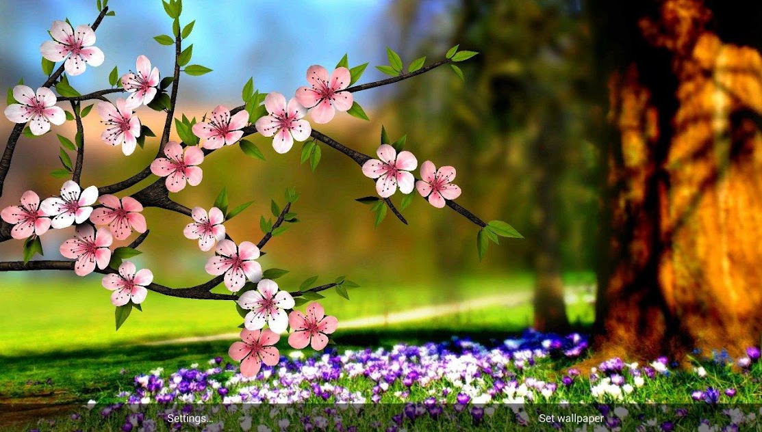 live wallpapers,flower,nature,spring,blossom,plant