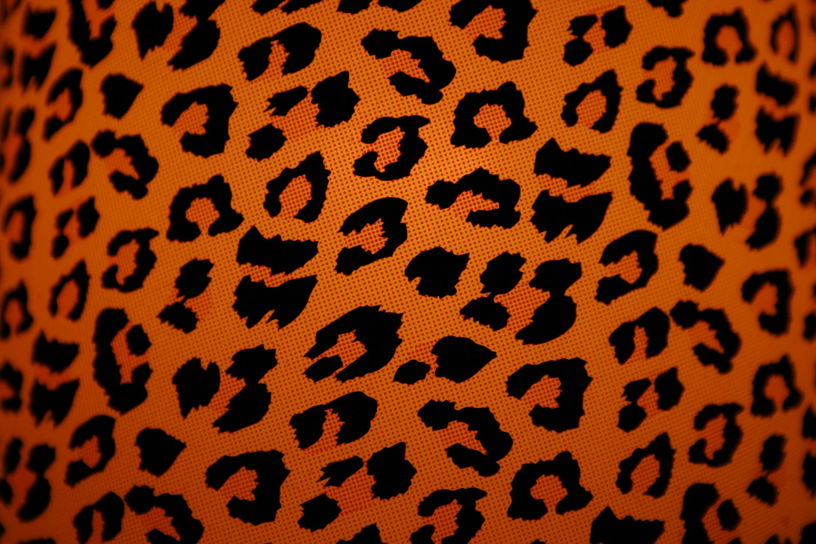 fondos de pantalla tumblr,modelo,naranja,amarillo,diseño,felidae