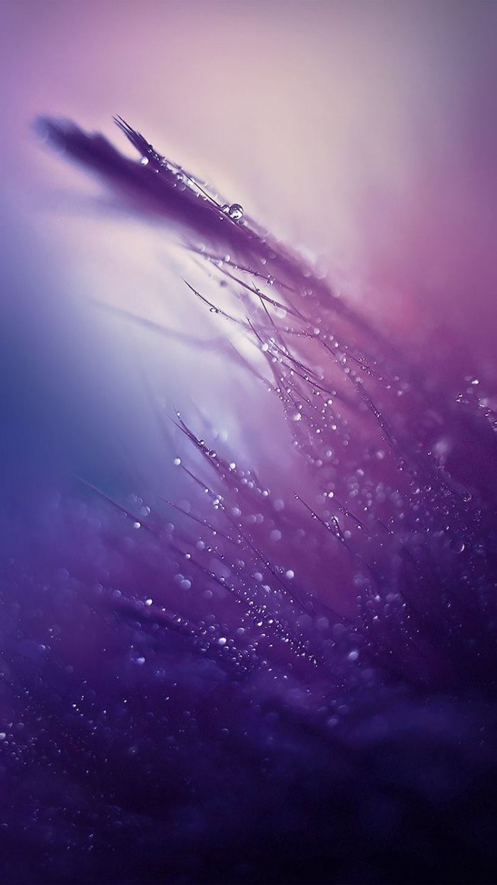 fond d'écran photos,violet,l'eau,violet,ciel,lumière