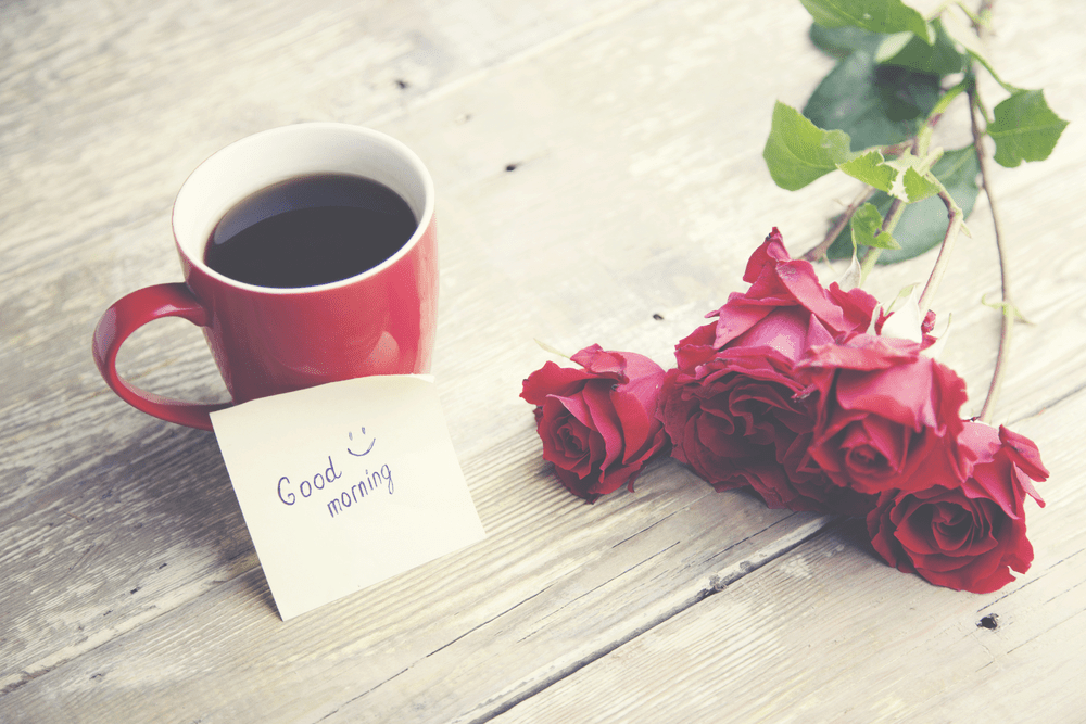 good morning wallpaper for whatsapp,cup,red,pink,petal,flower