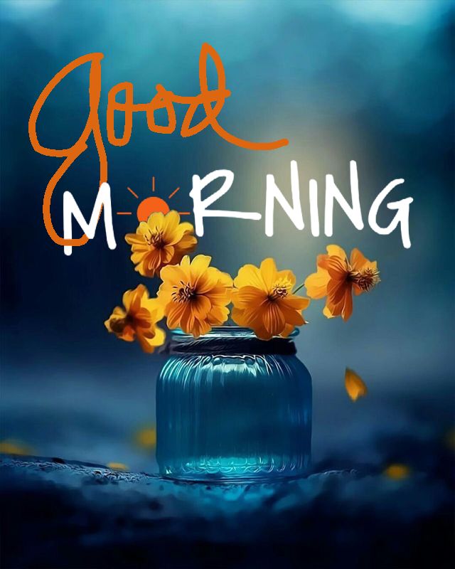 good morning wallpaper for whatsapp,font,flower,still life photography,plant,photography