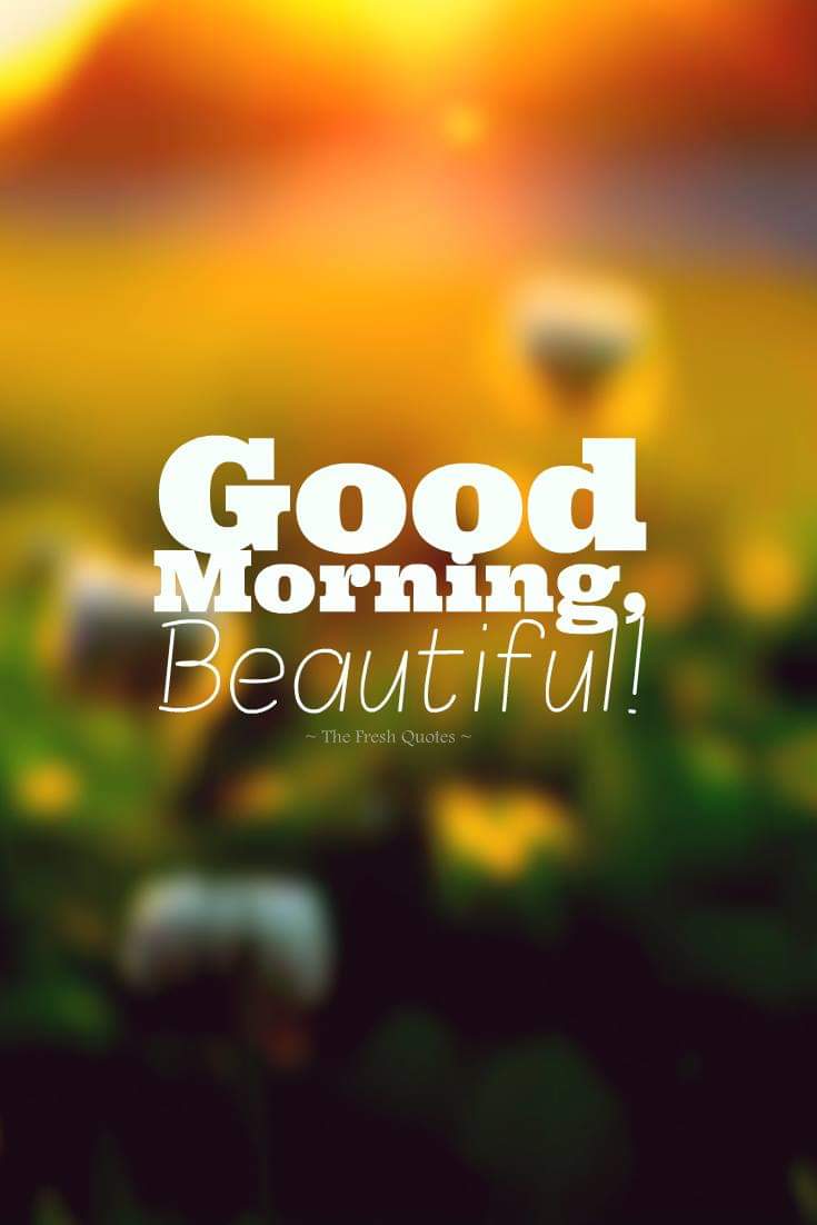 good morning wallpaper for whatsapp,font,text,green,yellow,logo