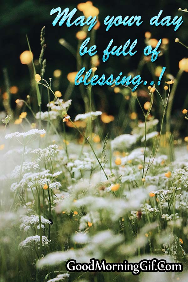 good morning wallpaper for whatsapp,nature,text,font,grass,spring