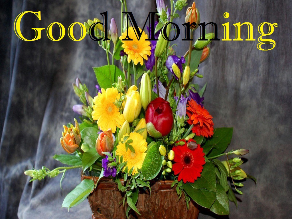good morning wallpaper for whatsapp,flower,floristry,flower arranging,bouquet,floral design