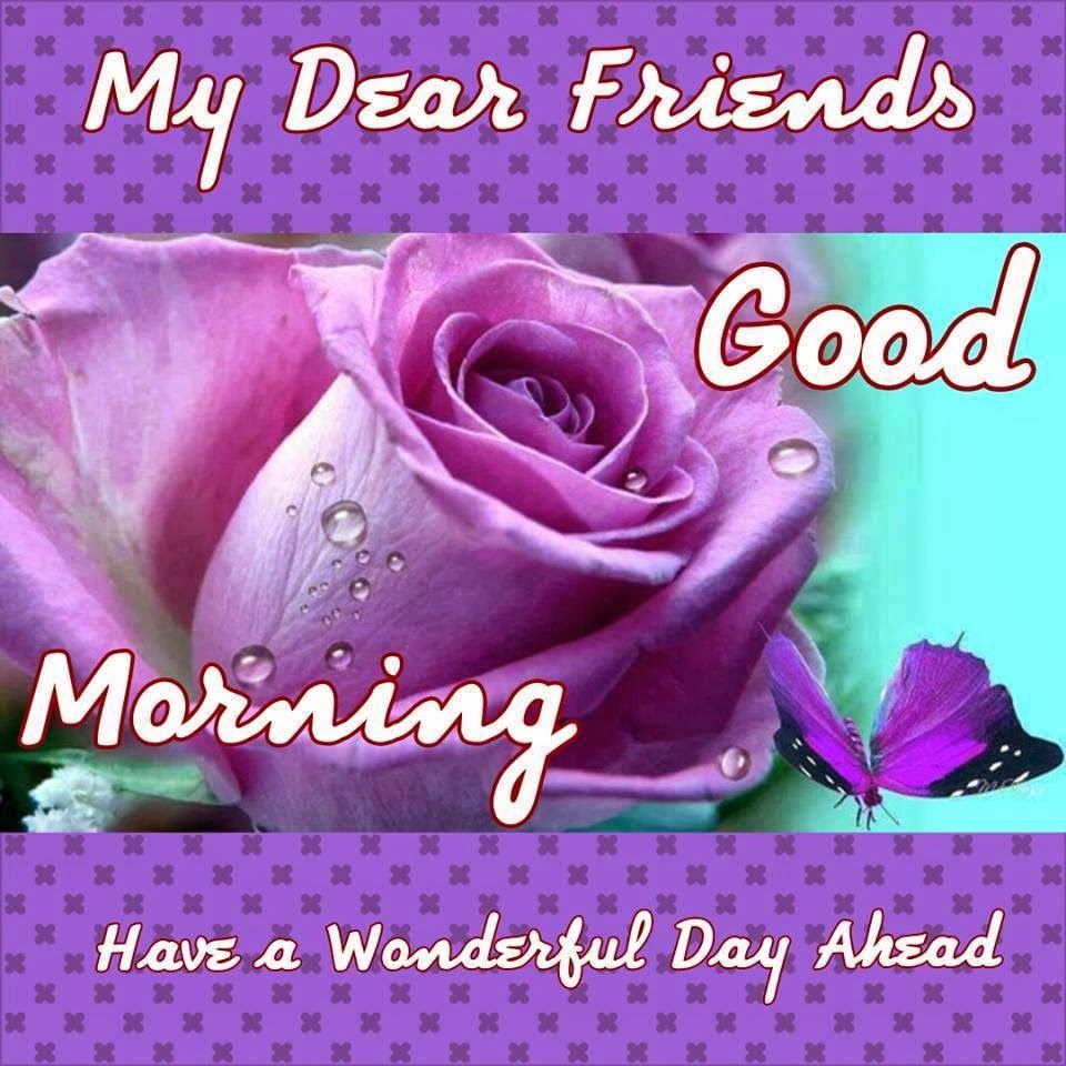 good morning wallpaper for whatsapp,purple,text,violet,flower,rose