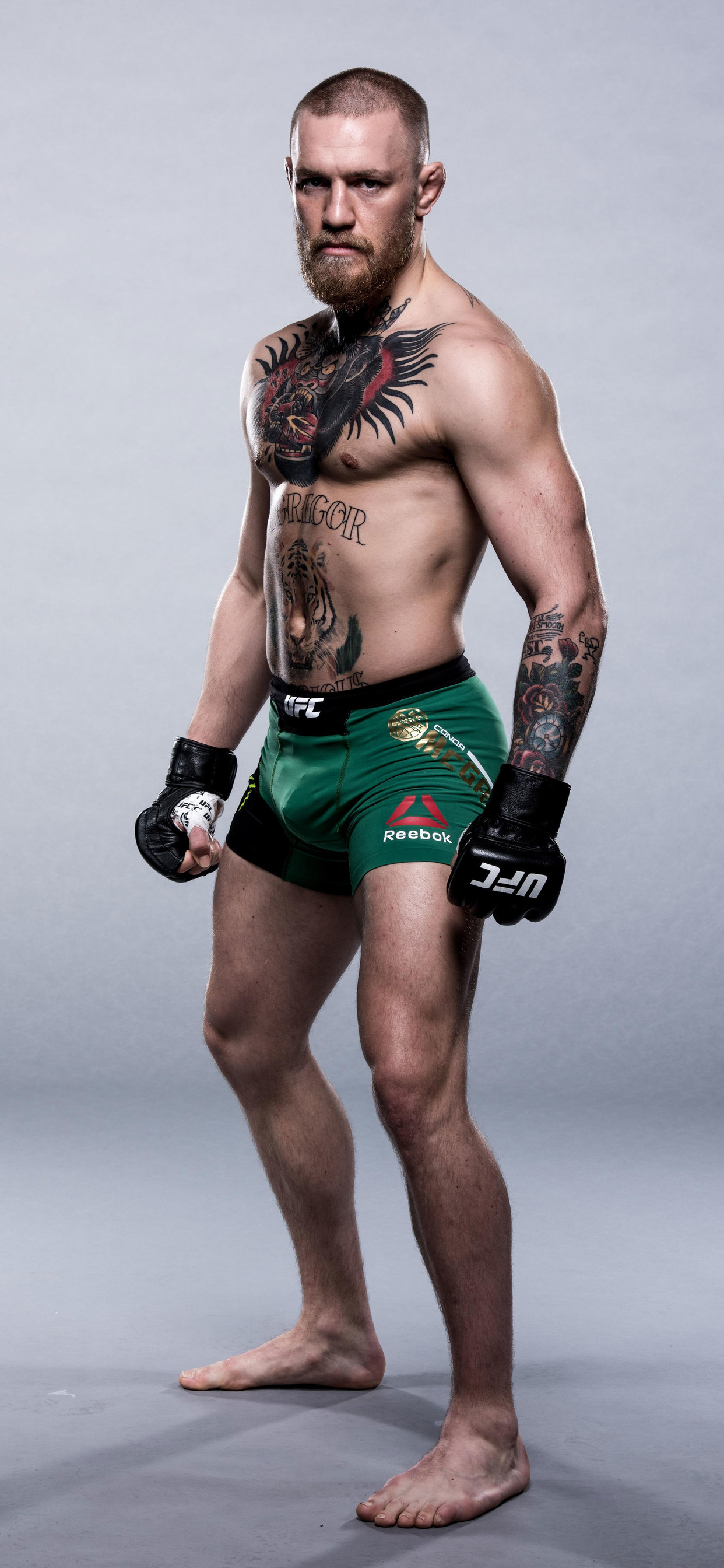 conor mcgregor tapete,ohne brust,kurze hose,truhe,schulter,abdomen