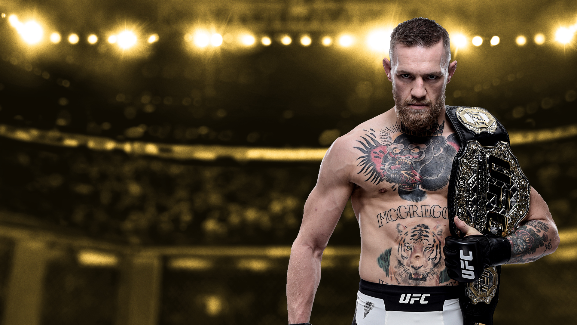 carta da parati conor mcgregor,lottatore,tatuaggio,wrestling professionale,campionato,barba