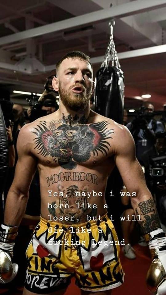 carta da parati conor mcgregor,bodybuilder,tatuaggio,il petto,bodybuilding,lottatore