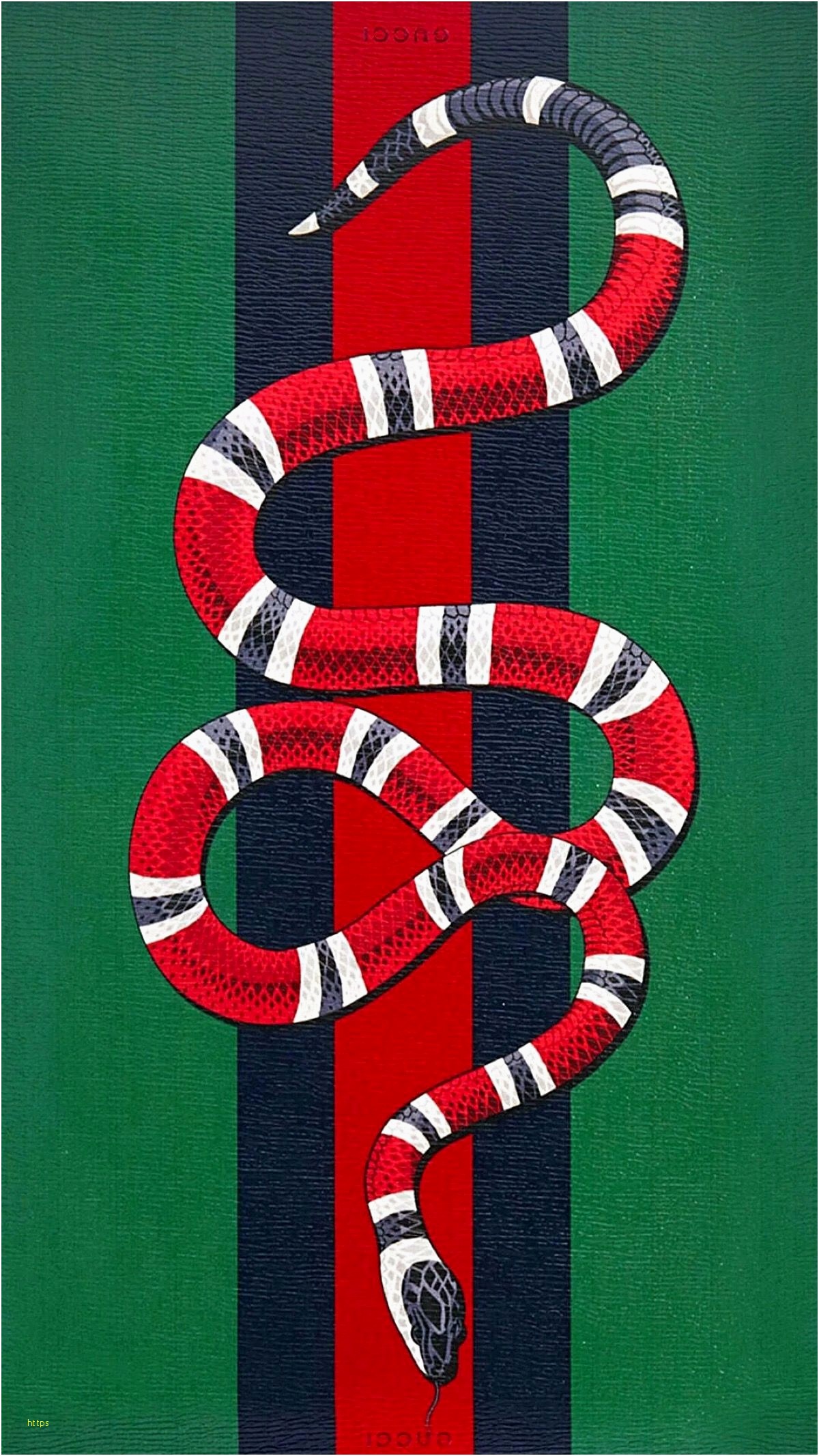 supreme wallpaper,milksnake,kingsnake,candy cane,snake,scaled reptile