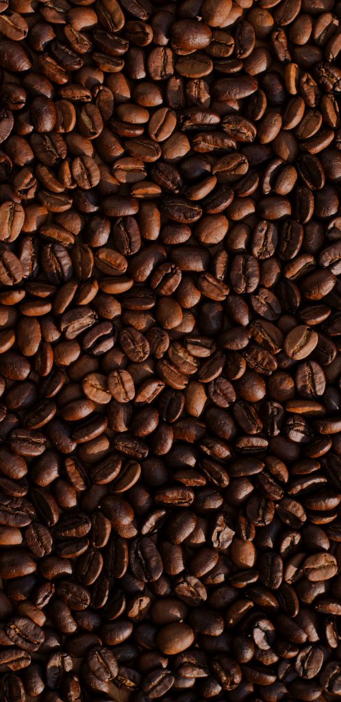 samsung galaxy s8 wallpaper,brown,close up,java coffee,plant,jamaican blue mountain coffee