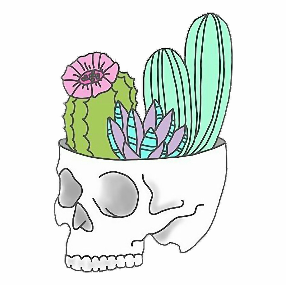 fond d'écran tumblr,cactus,plante,pot de fleur,fleur,saguaro