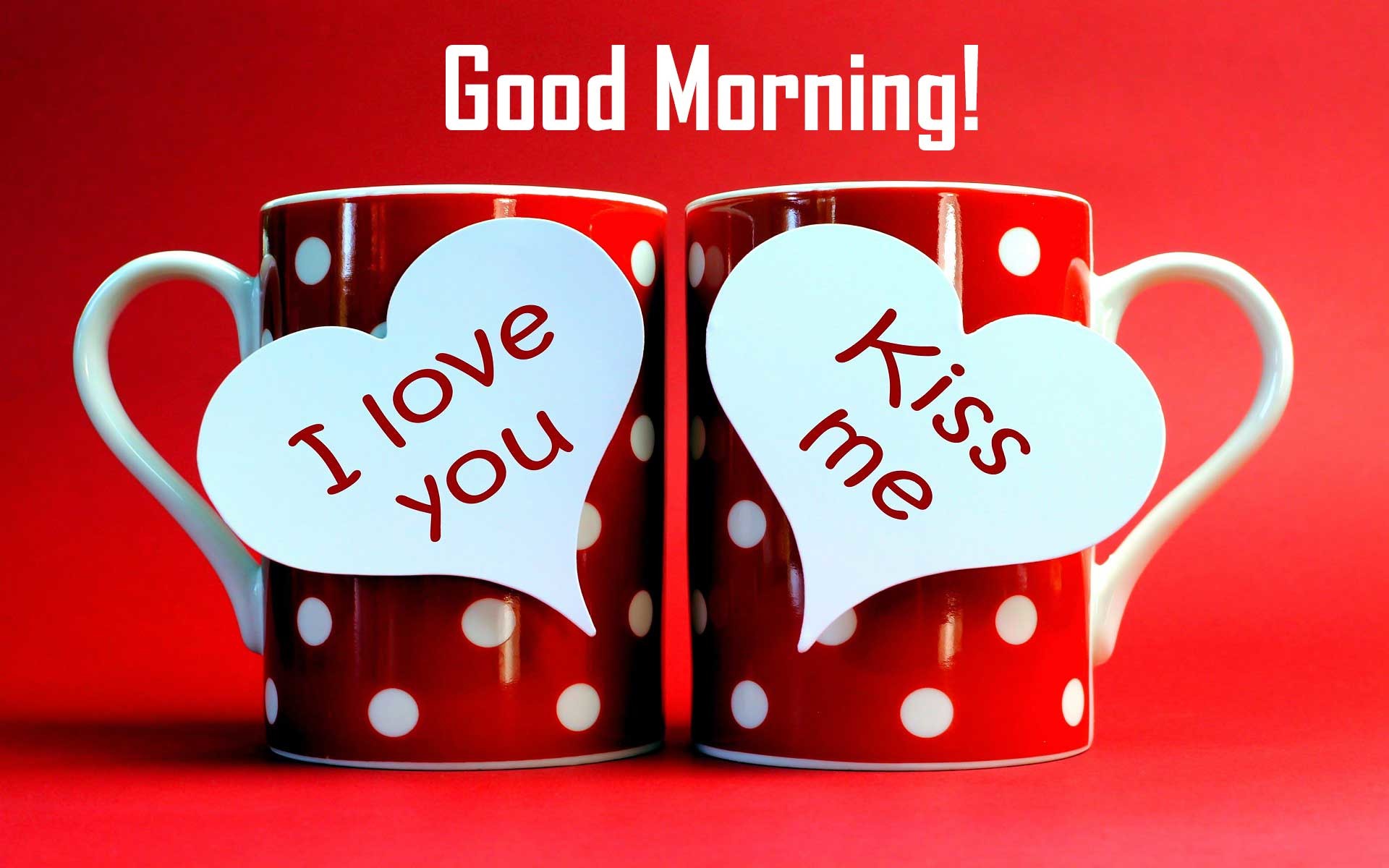 love wallpapers with messages,mug,love,red,valentine's day,cup