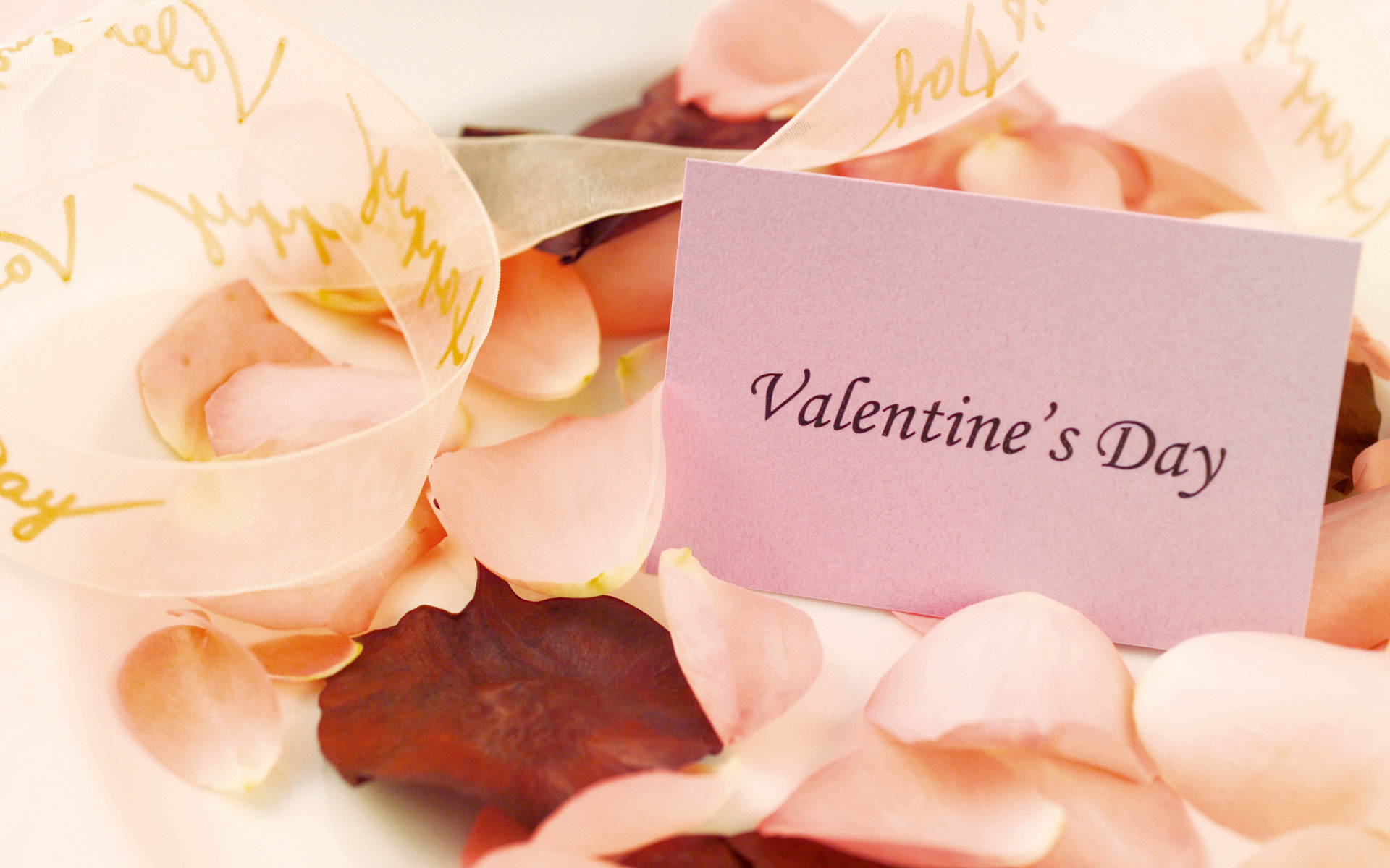 love wallpapers with messages,pink,petal,text,wedding favors,font